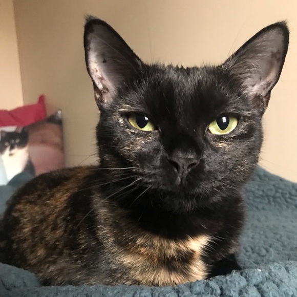 Meet your Posher, Marina - Picture 1 of 1